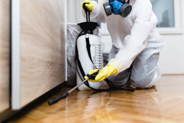 Best Mosquito Control Services  in Osceola, IA