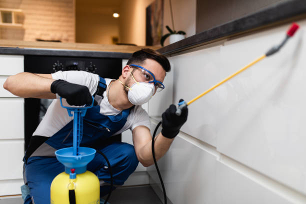 Best Pest Inspection Near Me  in Osceola, IA