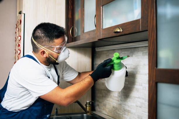 Best Pest Control Near Me in Osceola, IA