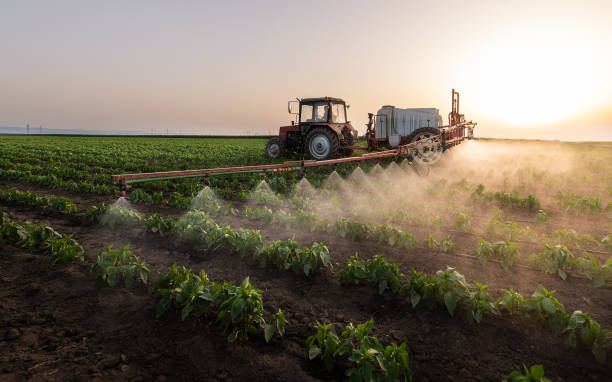 Best Pest Removal Services  in Osceola, IA