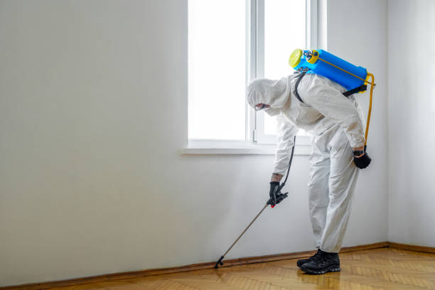 Best Flea Control Services  in Osceola, IA