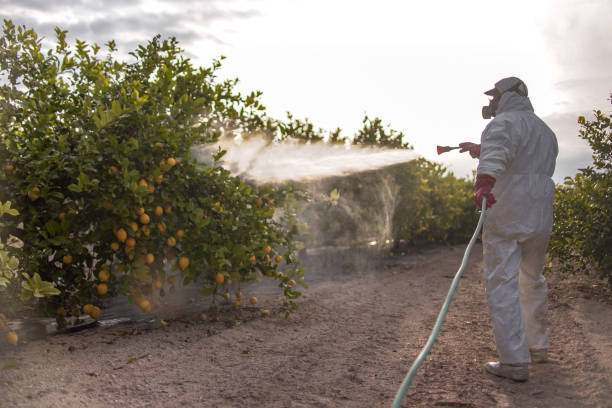 Best Residential Pest Control  in Osceola, IA