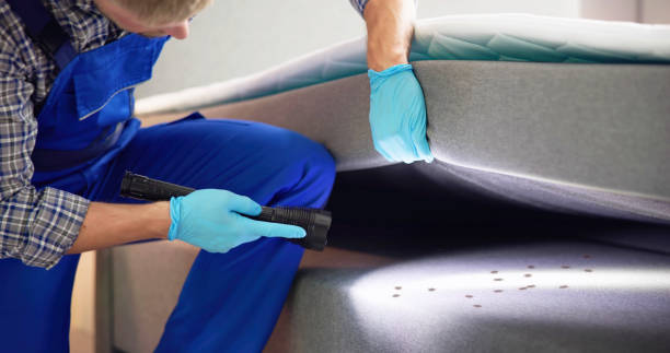 Best Affordable Pest Control Services  in Osceola, IA
